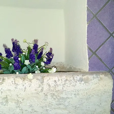 Elsa D'ortigia - I Tre Archi